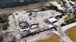 Detectan daños a manglares de Yucatán por desmontes y desarrollos turísticos irregulares