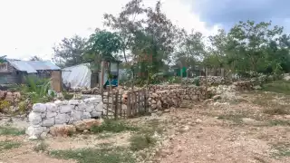 Demandan al Director del Instituto de Vivienda en Yucatán por presunto despojo de terrenos