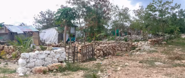 Las acusaciones contra el IVEY llevan varios meses