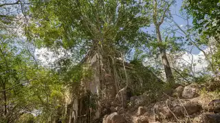 La exhacienda, una vez un bullicioso centro de producción y actividad, ahora se encuentra en el abandono total.
