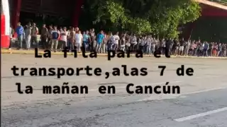 Transporte en Cancún: Exhiben caos para tomar un autobús en la ciudad; los trabajadores lo sufren