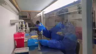 Quintana Roo   registra siete contagios de  mpox durante 2024; tres fueron en julio 