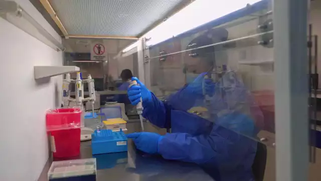 En lo que va de este año se han acumulado siete casos en Quintana Roo