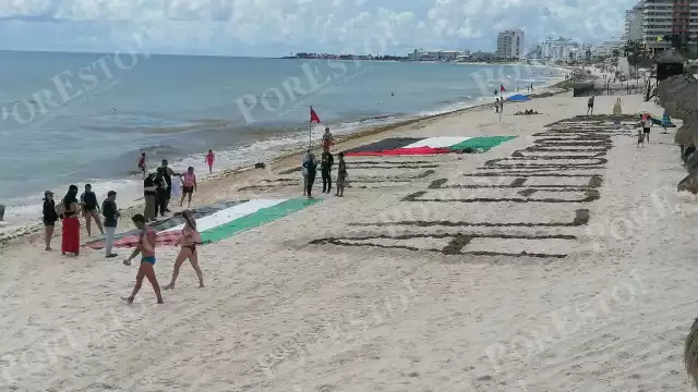 Con sargazo de la playa, formaron sobre la arena la frase “Alto al genocidio en Palestina”