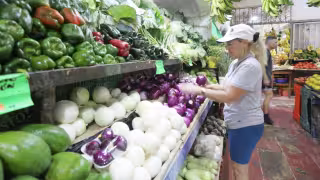 Mérida tiene la canasta básica más barata de México: alcanza los 734 pesos según la Profeco