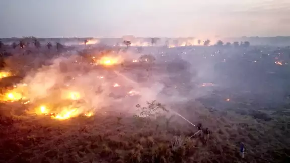Autoridades recalcaron la importancia de adoptar prácticas responsables, con el objetivo de evitar que las llamas consuman más selva, afectando el entorno