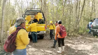 Primer incendio forestal en Lázaro Cárdenas se registró en la selva de Santo Domingo