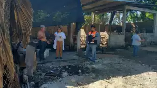 Inspeccionan granja de cerdos y pavos en Ticul tras denuncias por riesgos a la salud y olores insoportables