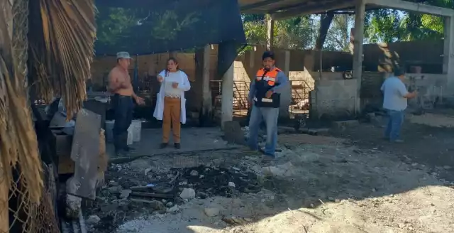 Autoridades sanitarias revisan el predio de crianza de cerdos y pavos del comisario Adalberto Alejos