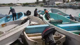 Más de 12 mil pescadores de Progreso recibirán  6 mil pesos del Gobierno de Yucatán