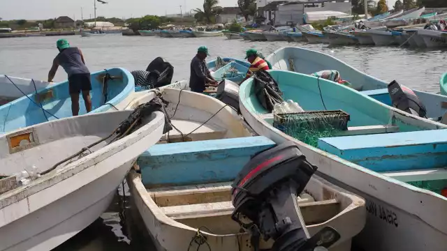 Desde mañana, se repartirán unos 65 millones de pesos entre 12 mil trabajadores del mar en Yucatán