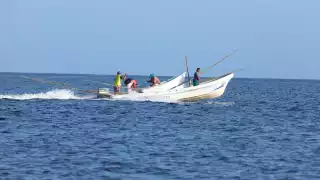 Captura de mero disminuye por el calor en Yucatán; Canainpesca reporta cifras por debajo de lo esperado  