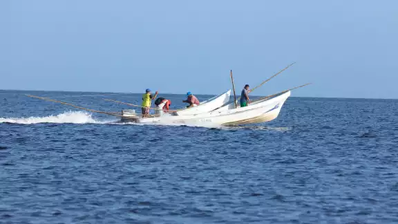 Las embarcaciones yucatecas retornan con entre mil 500 y mil 800 kilos de mero Las embarcaciones yucatecas retornan con entre mil 500 y mil 800 kilos de mero