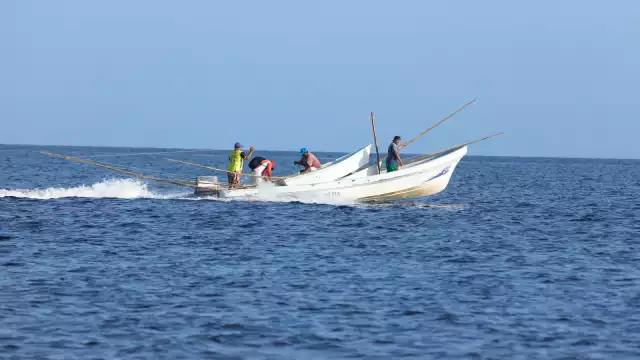 Las embarcaciones yucatecas retornan con entre mil 500 y mil 800 kilos de mero