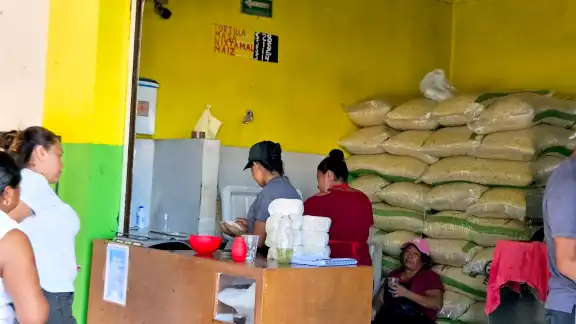 Aunque en la ciudad sólo un establecimiento aumentó el valor del kilogramo del alimento de maíz, los demás están a la expectativa de los cambios Aunque en la ciudad sólo un establecimiento aumentó el valor del kilogramo del alimento de maíz, los demás están a la expectativa de los cambios