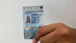 Las caravanas para las licencias y permisos de conducir se encuentran disponibles hoy 6 de noviembre