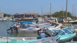 Pescadores de Yucatán invertirán más de 32 mdp para la temporada de pulpo