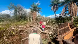 La Profepa clausuró las obras y aseguró la maquinaria usada para la deforestación