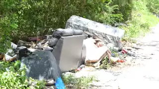 Terrenos baldíos convertidos en basureros clandestinos elevan riesgo de dengue en colonias