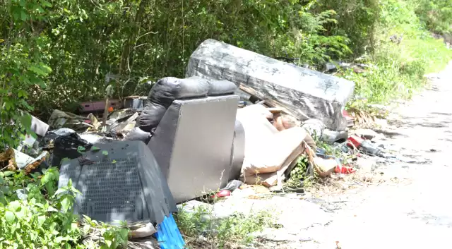 Propietarios podrían pagar limpieza de terrenos baldíos en el predial 2026