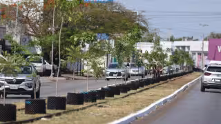 La alcaldesa Cecilia Patrón inicia los trabajos de arborización en Circuito Colonias poniente