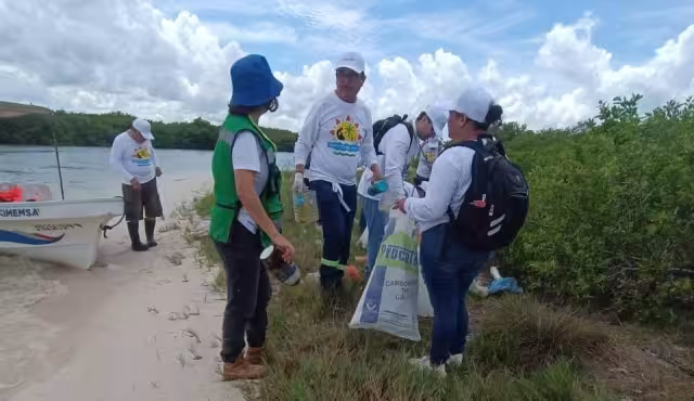 Voluntarios levantan basura y pocos días después encuentran más desechos tirados en el mismo sitio