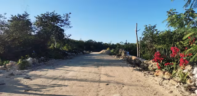 De sujetos de interés a sujetos de derecho: avance histórico para pueblos indígenas