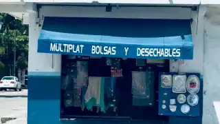 “Eso es un abuso": Ambientalistas de Playa del Carmen critican multas de hasta 1 mdp por vender bolsas de plástico