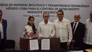 Yucatán y Cuba fortalecen alianza científica contra el dengue, zika y chikungunya