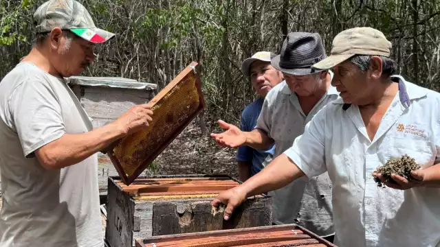 Se espera que próximamente la Federación concrete la suspensión definitiva de sustancias peligrosas para los ecosistemas