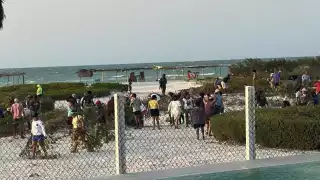 Joaquín Díaz Mena pide a la FGE Yucatán investigar las amenazas a una pareja por evidenciar la tala del manglar en Sisal