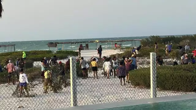 Avanza la destrucción del manglar en Sisal en manos de pobladores