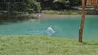 Joven muere ahogado en el arroyo de Chekubul, en Sabancuy tras nadar ebrio