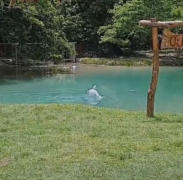Originario de Chekubul y residente de Ciudad del Carmen, el joven regresó de visita y fue visto tomando con amigos antes de meterse solo al arroyo donde perdió la vida.