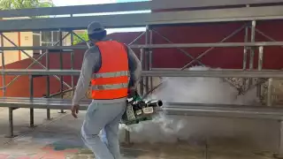 Disminuyen casos de dengue en Campeche, pero Palizada y Carmen siguen en alerta máxima