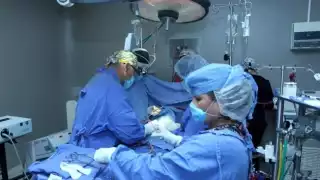 El Hospital de Alta Especialidad en Mérida junto con un Club Rotario organizaron la jornada.