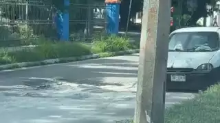 Presencia de socavones pone en riesgo viviendas de Chetumal