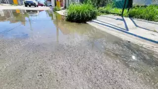 “Vivimos entre aguas negras": Vecinos de la Región 94 de Cancún reportan fuga de aguas residuales 