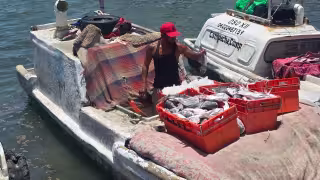 Diputados de Campeche exigen aclarar probable desvío de combustible enviado por Pemex