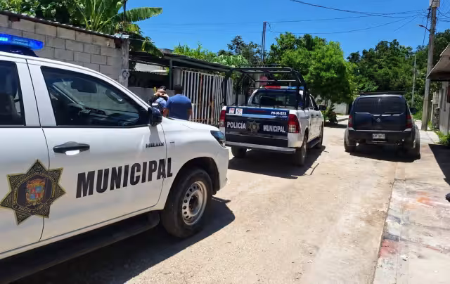 Vicefiscalía investiga presunto maltrato animal en Fundadores