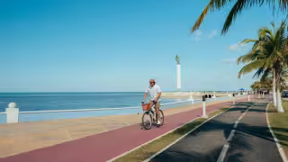 Malecón recibirá mejoras en movilidad, alumbrado y reforestación