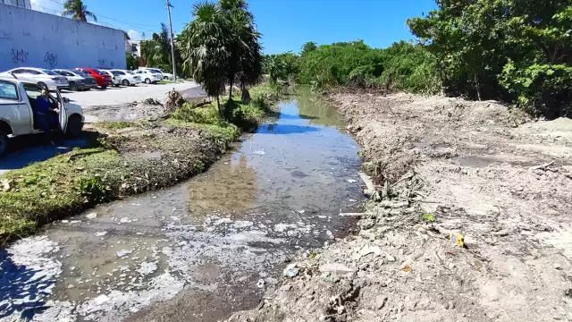 Los motivos de degradar la zona fue para la extracción de basura  y hacer más profunda la laguna