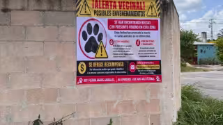 Vecinos crean mapa ciudadano contra envenenamiento de mascotas