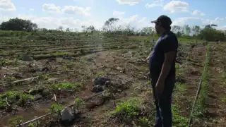 Tradición de las cabañuelas se pierde en Yucatán por las nuevas tecnologías