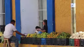 Citricultores de Peto rematan las cajas de naranja y limón por el fin de la temporada