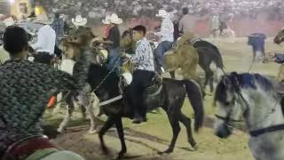 Hay demandas de amparo para tres eventos taurinos en Yucatán