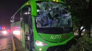 Un camión de transporte público se salió del camino y chocó contra árboles en la avenida Tulum.