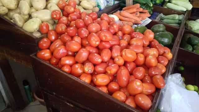 Chile habanero: Se vende a 150 pesos por kilo y se espera que suba más.