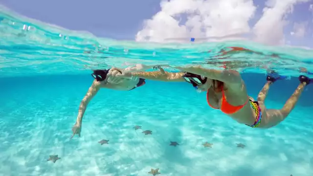 En algunas habitan especies marinas que se han vuelto los atractivos principales