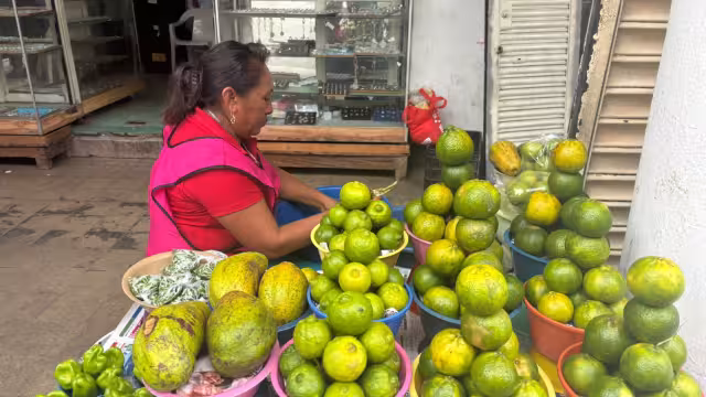 El kilogramo de mandarinas en temporada ronda entre 25 y 30 pesos.